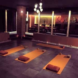 Studio Yoga Geneva Terre des Sens