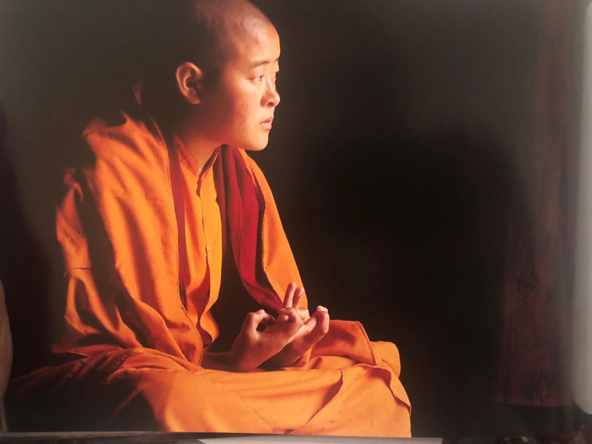 Méditation Terre des sens